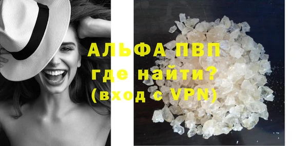 ПСИЛОЦИБИНОВЫЕ ГРИБЫ Бородино