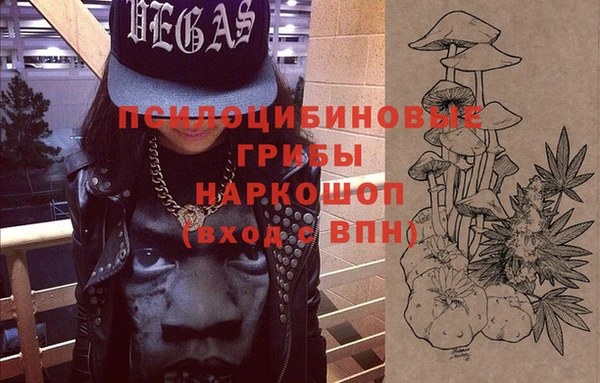 спиды Богданович