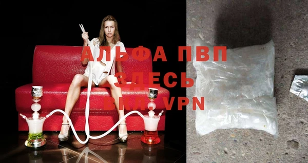 ПСИЛОЦИБИНОВЫЕ ГРИБЫ Бородино