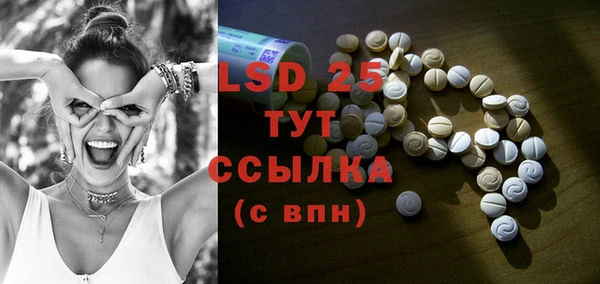 ПСИЛОЦИБИНОВЫЕ ГРИБЫ Бородино