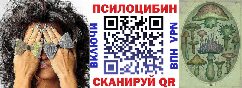 darknet официальный сайт  Волосово  mega ССЫЛКА  Галлюциногенные грибы Psilocybe  купить наркотик 